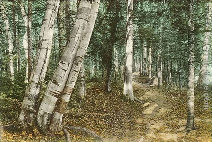 Riverside Path, White Mountains, New Hampshire painting - Norman Parkinson Riverside Path, White Mountains, New Hampshire art painting
